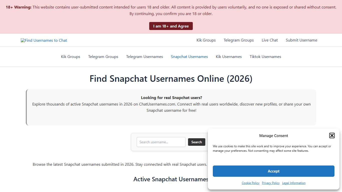Find Snapchat Usernames Online (2026) | ChatUsernames